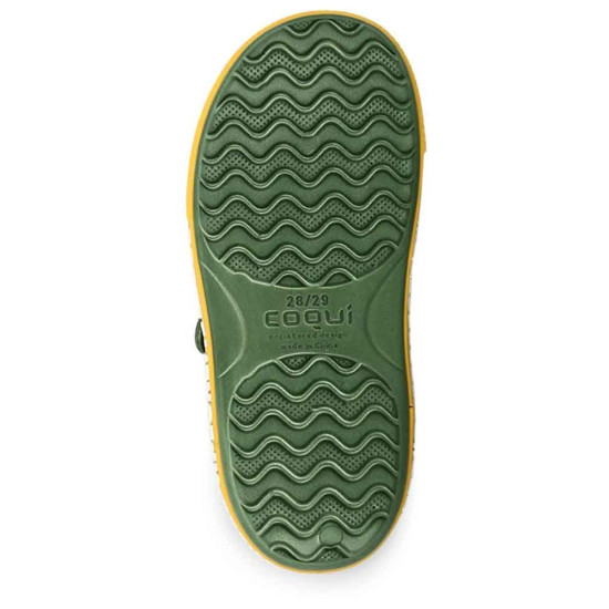 Coqui Yogi Coqui Yogi